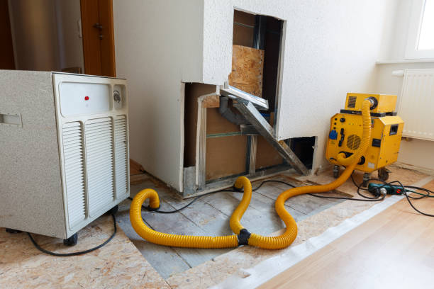 Forensic Mold Investigation in Folsom, PA